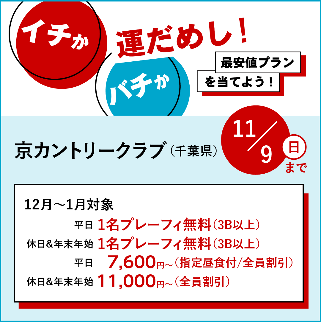 イチかバチか運試し「最安値プラン」を当てよう！